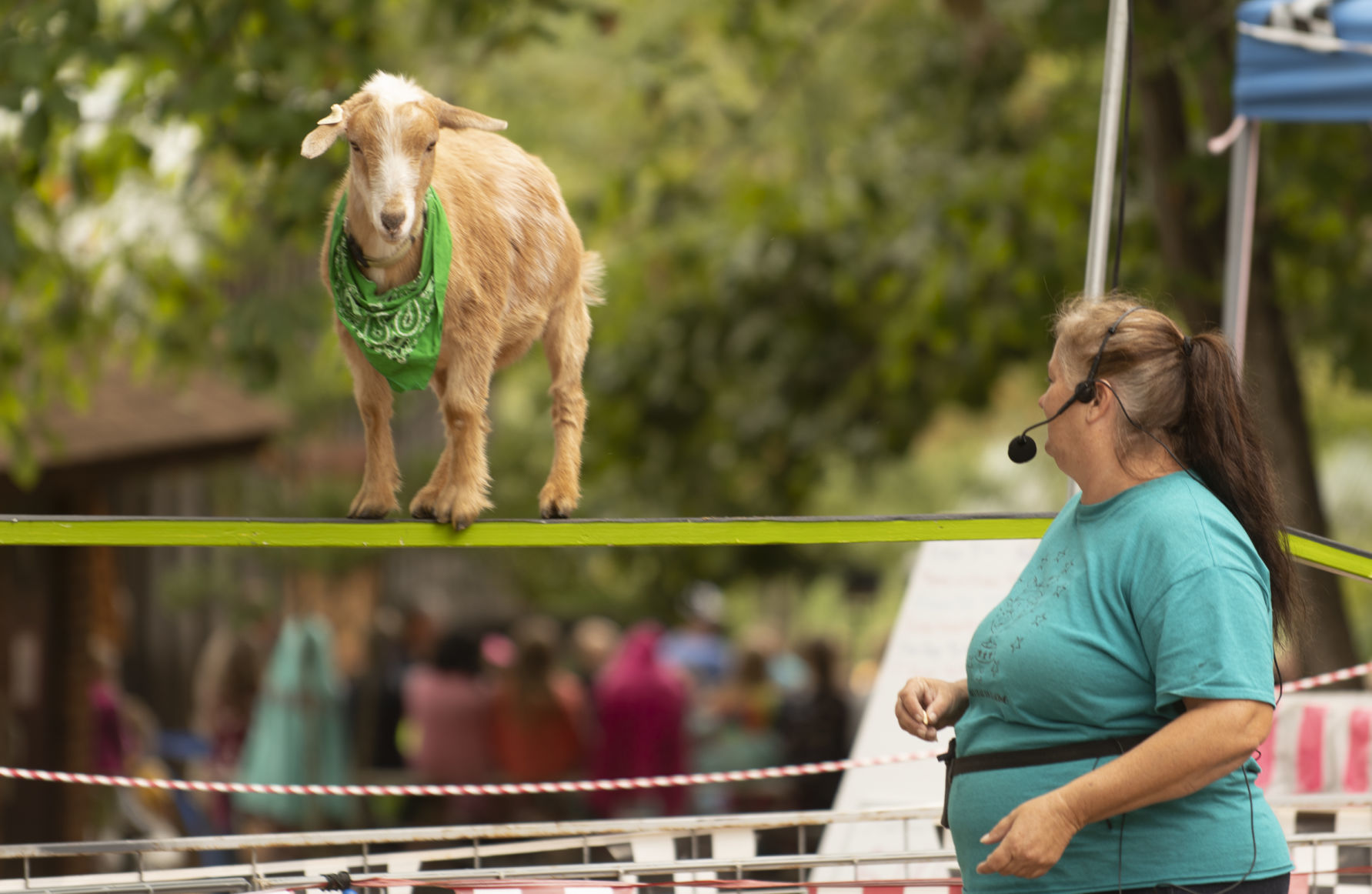 Agricultural Fair